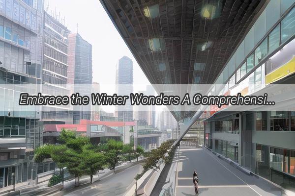 Embrace the Winter Wonders A Comprehensive Guide to Caring for Parrots in Guangzhous Chilly Season